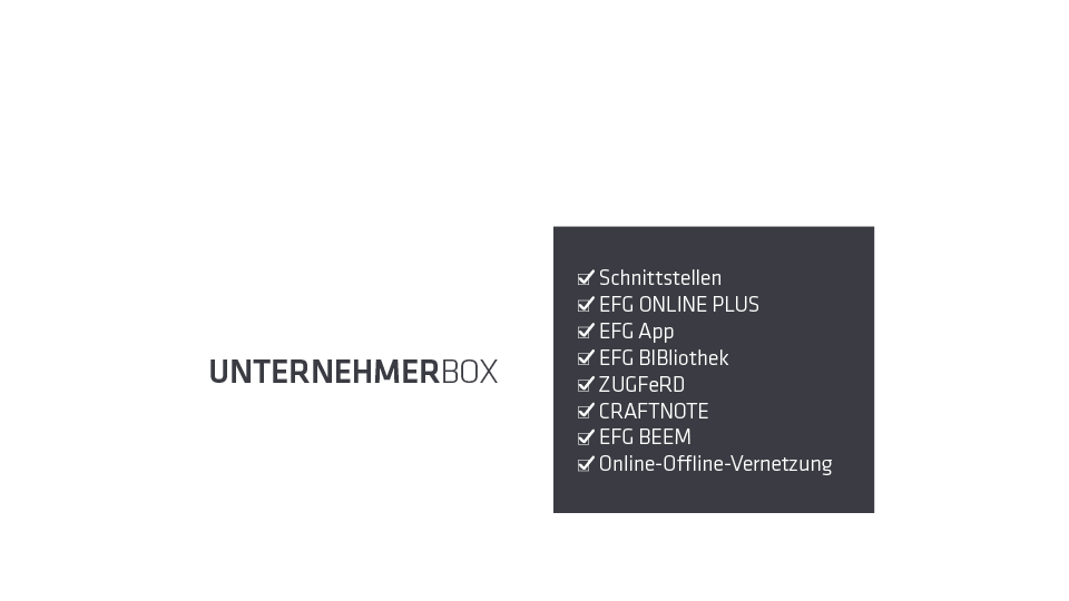 EFG DigitalBox: UnternehmerBox mit Tools